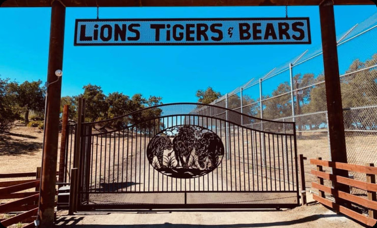 lions-tigers-and-bears-needs-donors-and-supporters-volunteer-visit-sponsor-an-animal-rescue-big-cats-exotic-animals-501c3-nonprofit-sanctuary-shelter-San-Diego-CA-Alpine-California