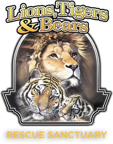 Lions, Tigres and Bears