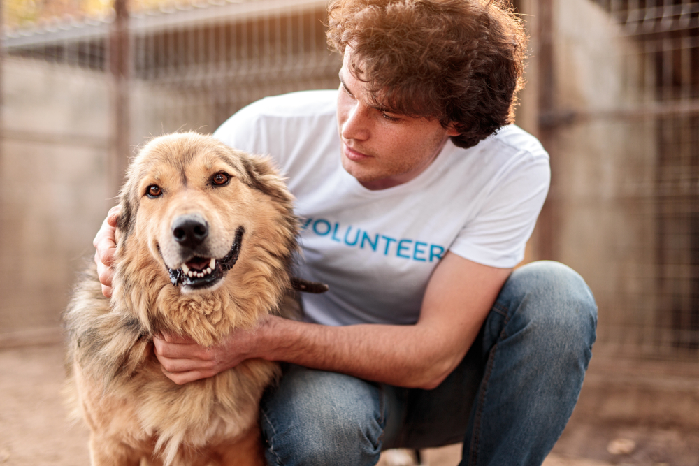 Responsible attentive young male volunteer caring for adorable hairy dog in animal shelter highlighting volunteer work mental well-being and professional development