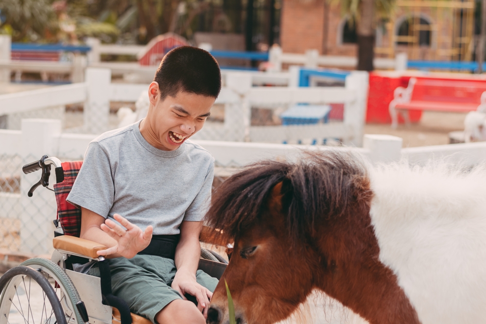 Teenager boy with a disability enhancing emotional wellbeing through disability friendly animal interactions by happily feeding pets emphasizing the therapeutic benefits of animals in rehabilitation
