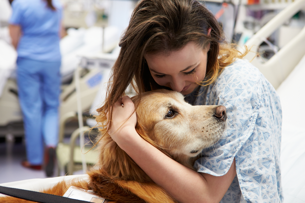 Therapy dog visiting a young female patient in the hospital showcasing emotional healing healing trauma and stress relief