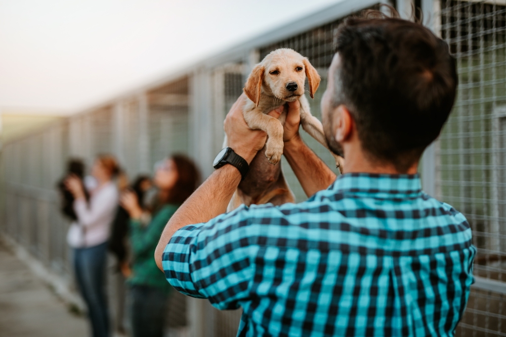 Young adult man adopting adorable dog in animal shelter showcasing stress relief mental health and therapeutic benefits