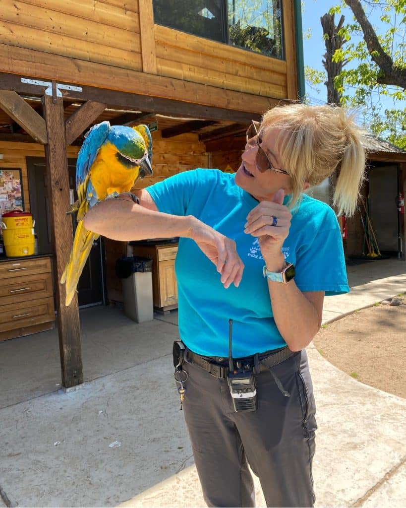 Lions-Tigers-&-Bears-San-Diego-exotic-bird-animal-rescue-blue-and-gold-macaw-international-bird-rescue-humane-society-breeding-facilities