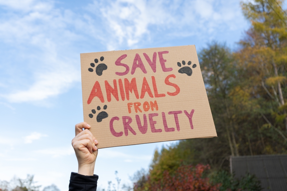 humane-society-animal-welfare-Peter-Singer-anti-cruelty-laws-animal-rights-activism-United-States-accredited-sanctuary-Lions-Tigers-and-Bears-San-Diego-CA