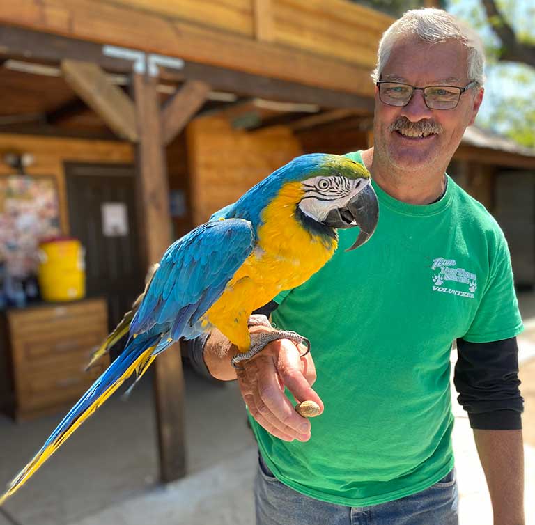 Soho-our-macaw-parrot-and-volunteer-at-Lions-Tigers-and-Bears-animal-sanctuary-in-Alpine-California-wildlife-rescue